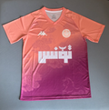Maillot Édition Spéciale Tunisie 2025/2026