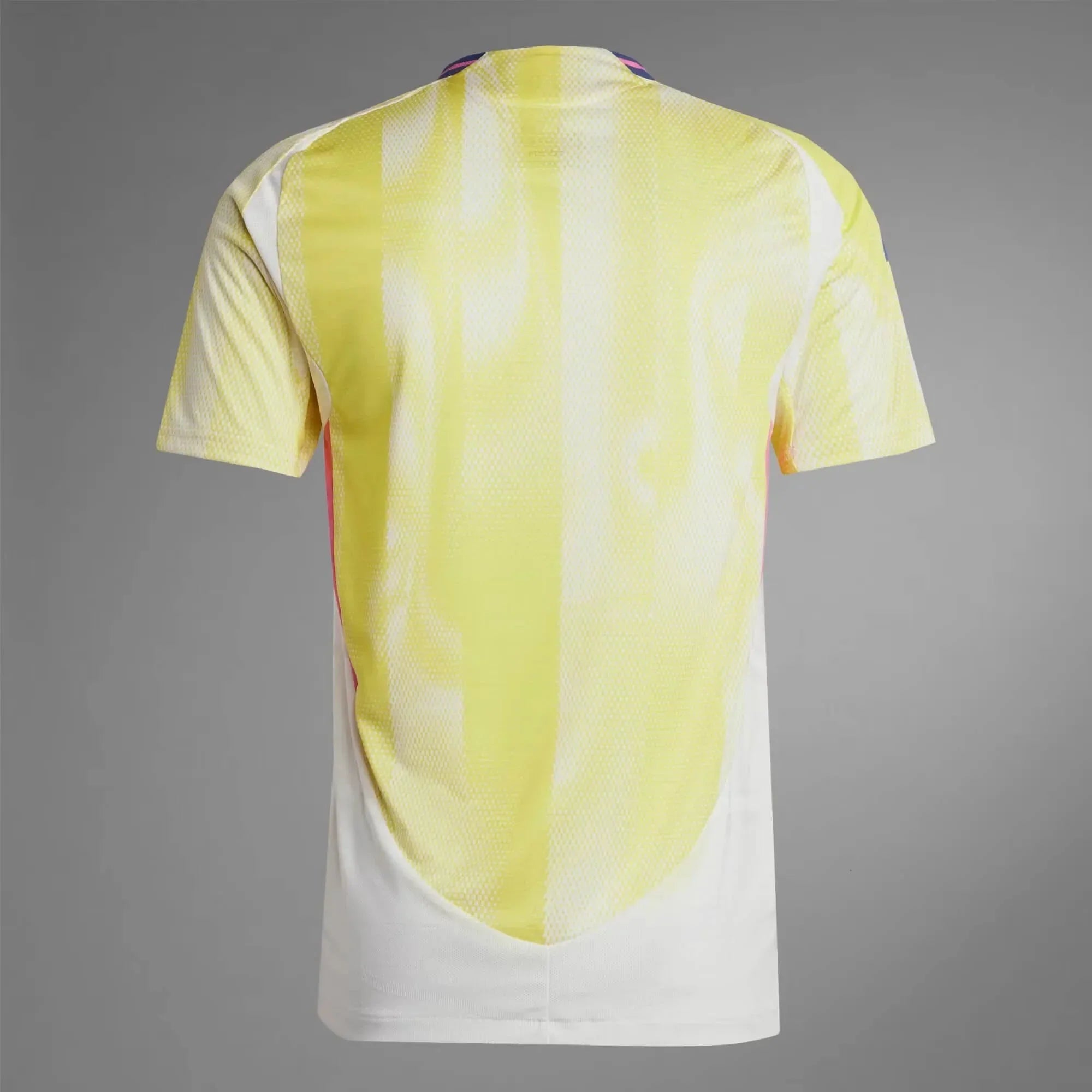 Maillot Extérieur Homme Juventus 2024-25