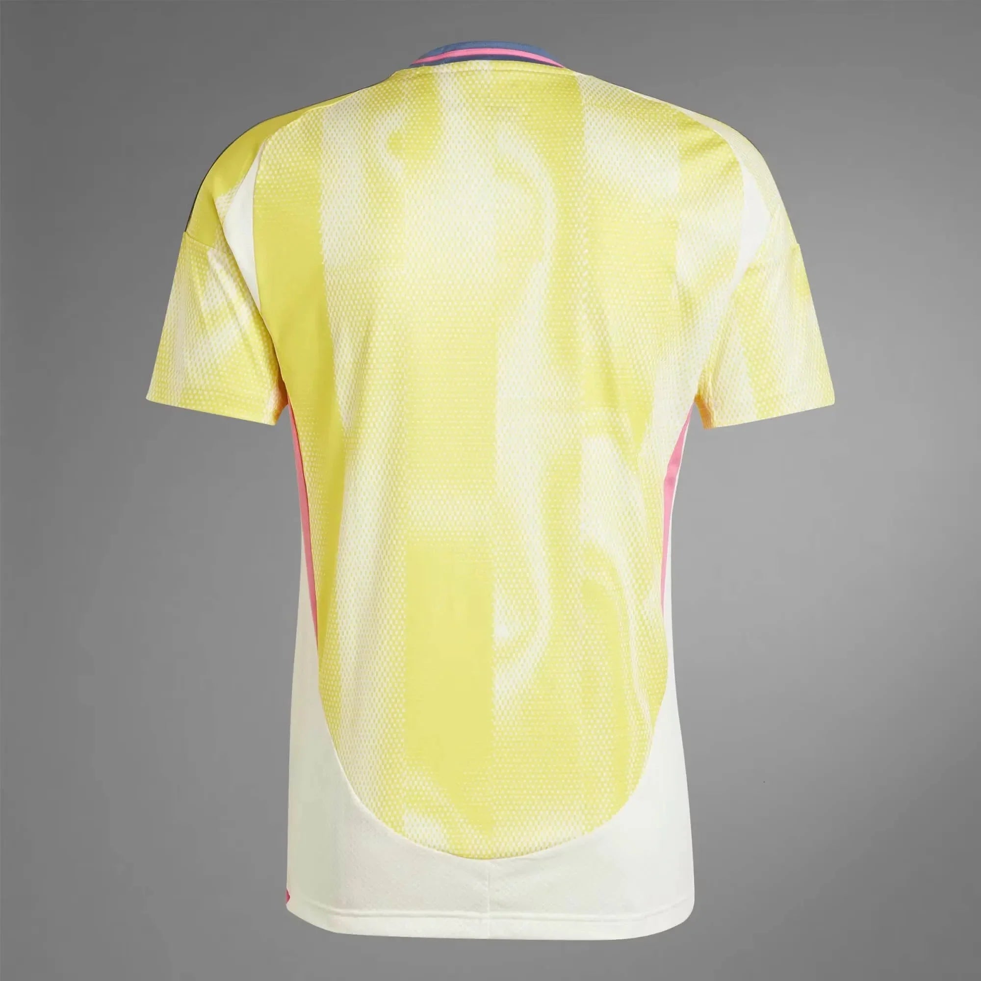 Maillot extérieur de stade Juventus 2024-25 pour homme