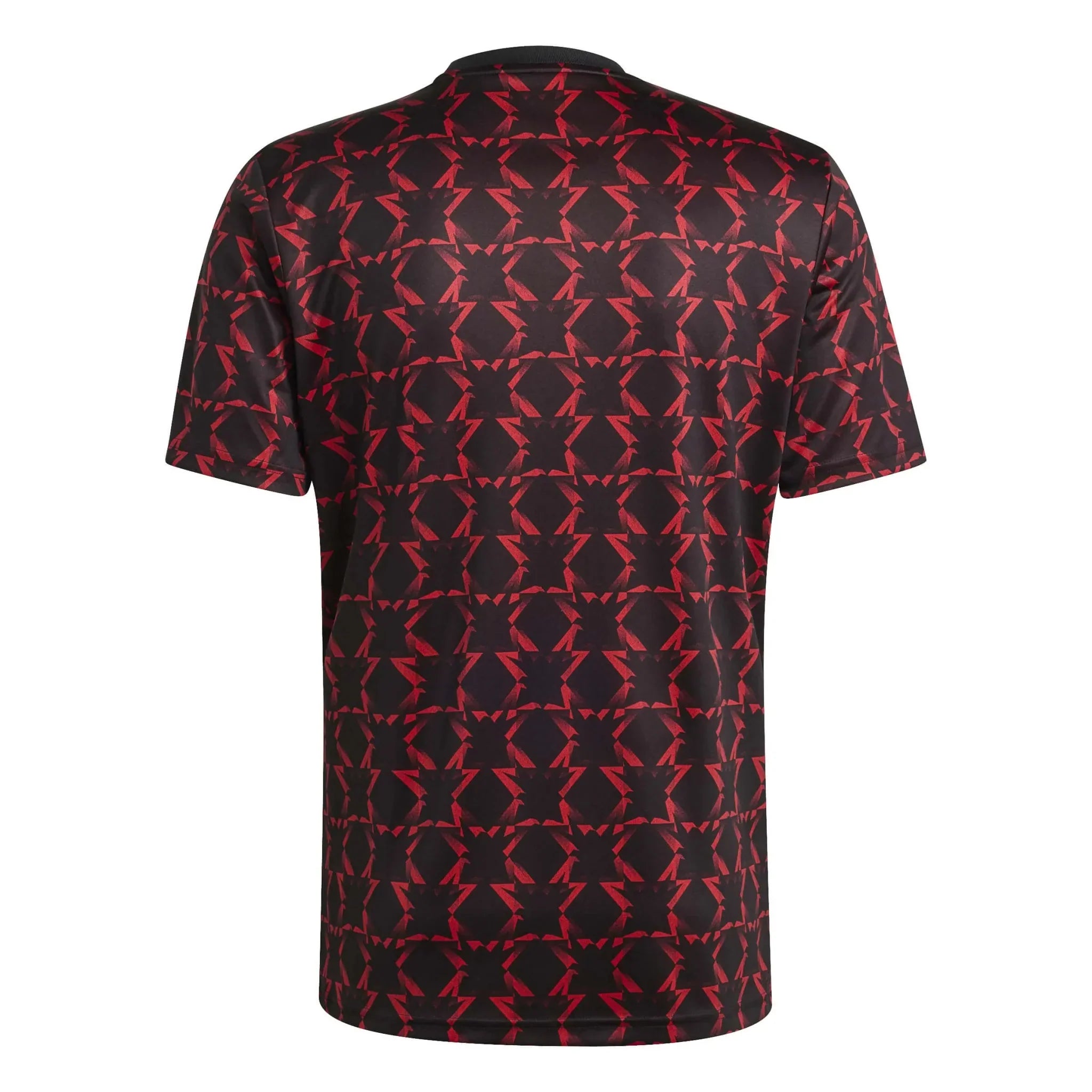 Manchester United 2024-25 Men's Pre-Match Jersey