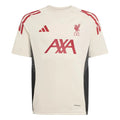 Liverpool 2025-26 Youth Training Soccer Jersey