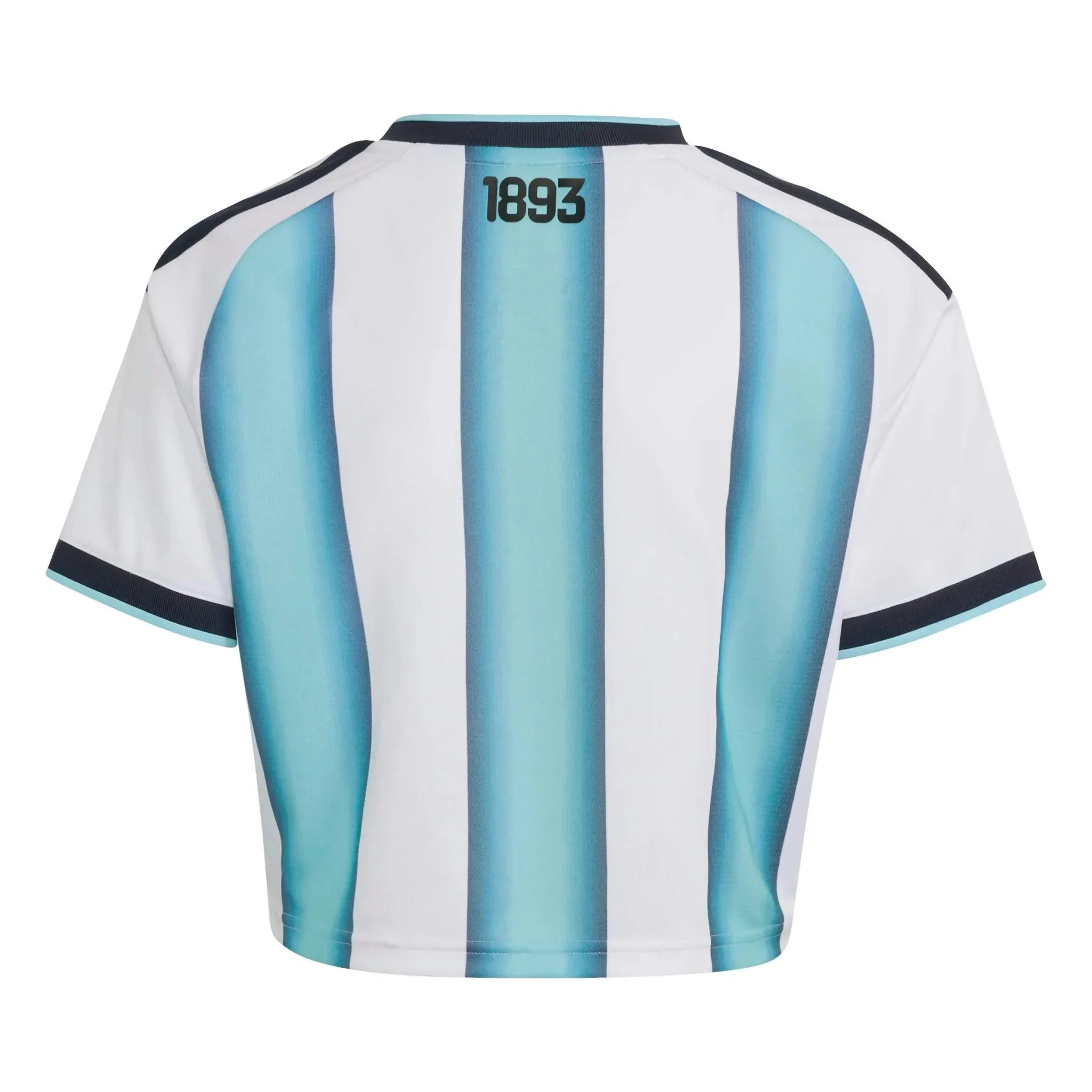 Maillot de foot court domicile Argentine 2026 Femme