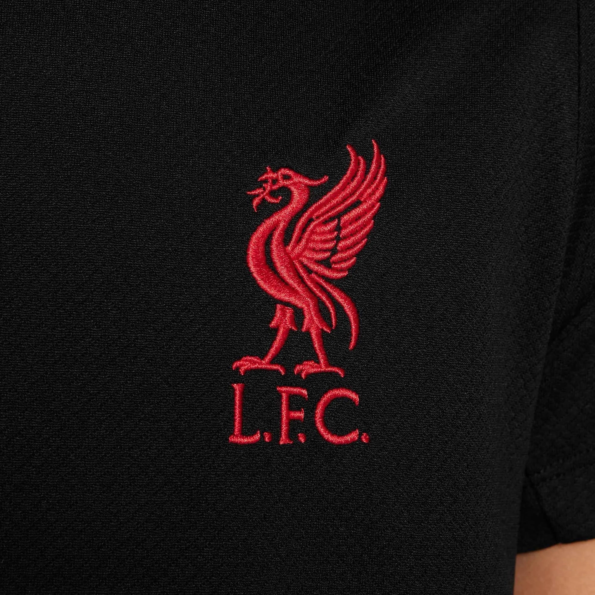 Liverpool 2025 Youth Strike Soccer Jersey